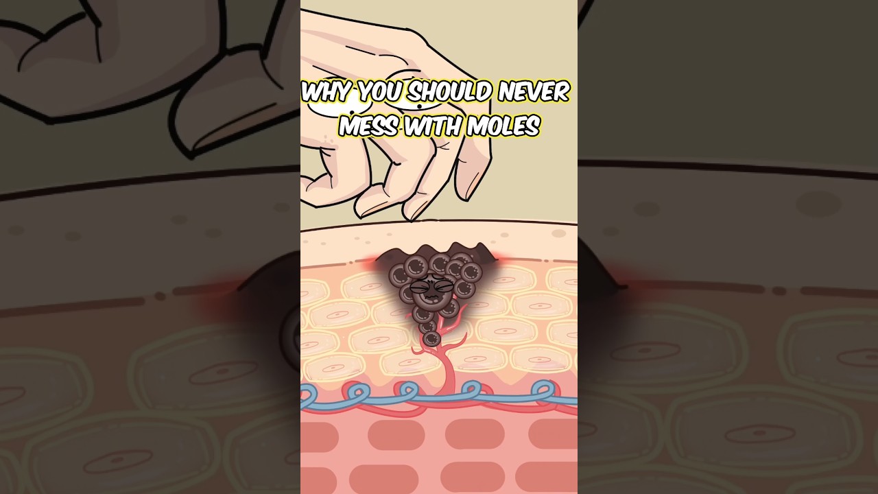 Why you should NEVER mess with moles