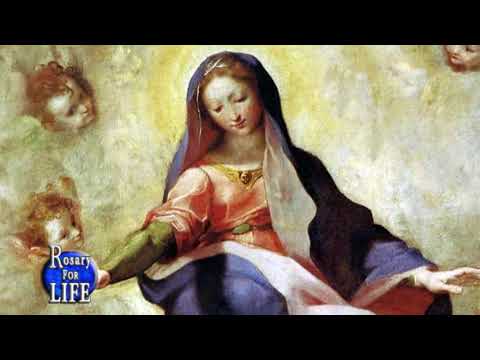 Rosary for Life - The Joyful Mysteries
