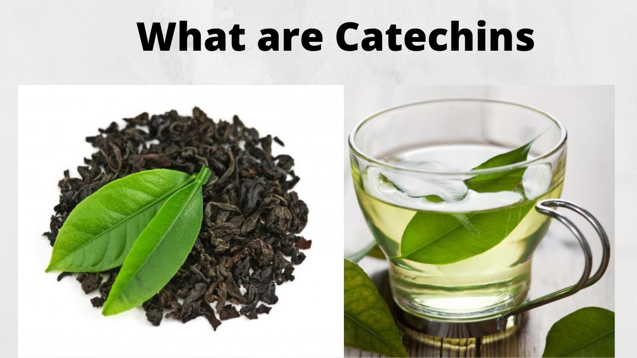How many catechins are there in black tea? Tipseri