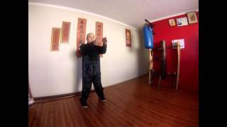 Chum Kiu Form by Sifu Derek Fung - 師傅馮平波 尋橋