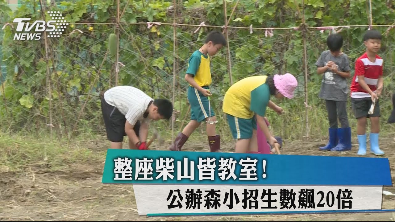 整座柴山皆教室! 公辦森小招生數飆20倍