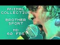 Animal Collective - Brother Sport  (HD Upscale)