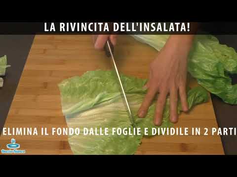 download lagu mp3 mp4 Pan Funghi, download lagu Pan Funghi gratis, unduh video klip Pan Funghi