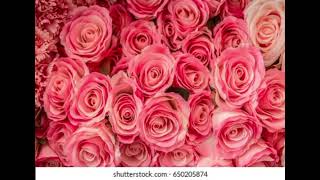 Download lagu Umar bher khair ky talib mp3 Download lagu Umar bher khair ky talib mp3