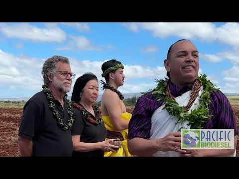 Kaua'i Sunflower Blessing Video