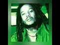 Stephen Marley - Jah Bless