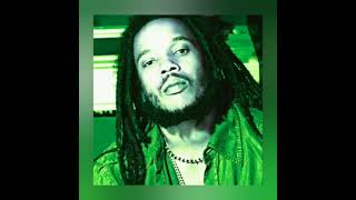 Stephen Marley - Jah Bless