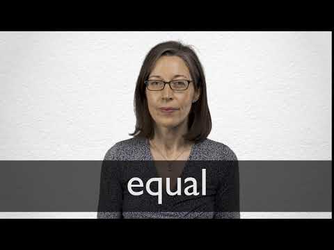 Translation “equal” | Collins English-Portuguese