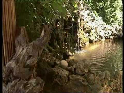 Tomislav Manic   Umoren sum