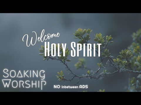 Welcome Holy Spirit 🌿 Peaceful Prayer Music | Worship Instrumental for Study & Bible Reading