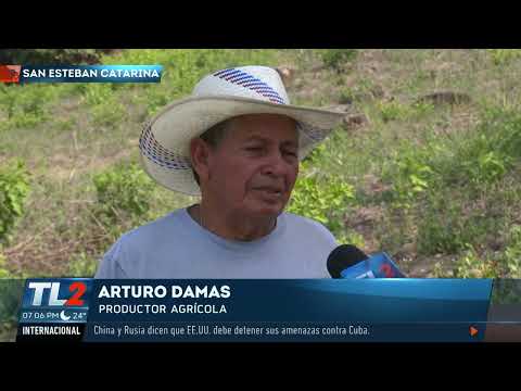 Cultivos daños por falta de lluvia en San Vicente | Teledos | El Salvador