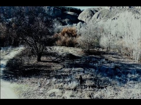 ZENTAURA - HISPANIA · PELLIS TAURI  (OFFICIAL VIDEO)