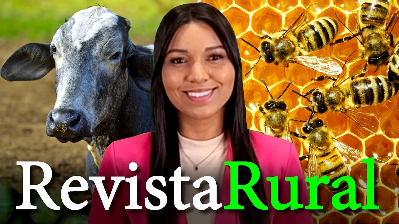 PROGRAMA REVISTA RURAL - 26/11/2023