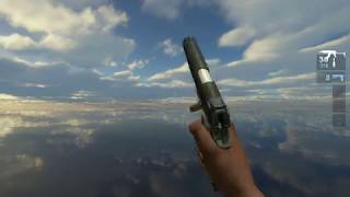 MW1 M1911 (for Deagle)