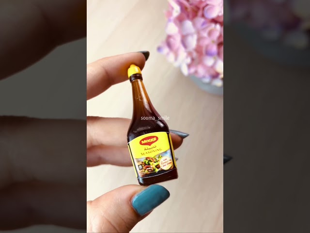 مغناطيس تتبيلة ماجي