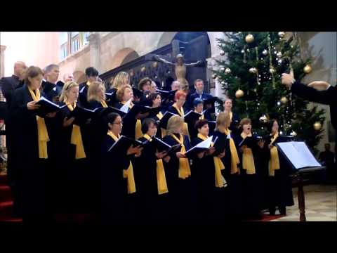 Zbor Condura Croatica - Ovoga vrimena