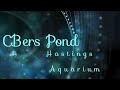 Hastings Aquarium Blue Reef