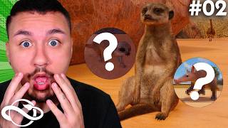 🦁 COLOQUEI 3 ANIMAIS no MESMO HABITAT e OLHA NO QUE DEU | Planet Zoo 2 #02