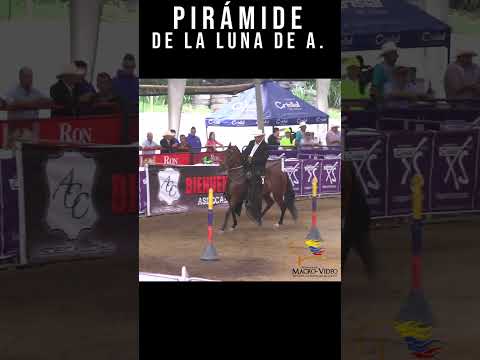 PIRÁMIDE DE LA LUNA DE ANATOLI P1 MANIZALES 2016  #shortsvideo #trote #troteygalope
