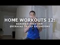 Home Workouts 12: Single Arm Overhead Triceps Extensions