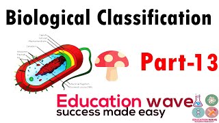 Biological Classification (Basidiomycetes ) Biology Class 11 In Hindi Part 13