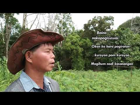 BAINO NOKOPOGISUSUAI -GEORGE OMBOU