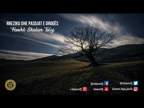 Rreziku dhe pasojat e drogës {Hutbe} - Shaban Tolaj