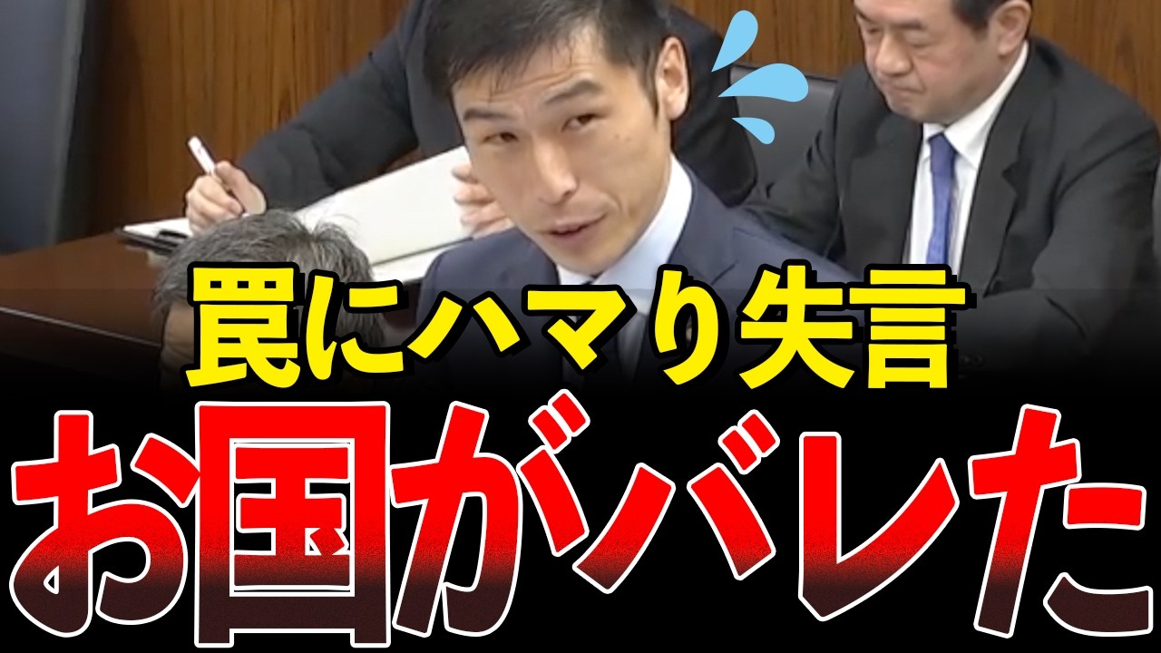 ついに国会で、共産党山添の出身国が炙り出されました…【国会中継/切り抜き】