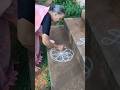 My Morning Routine Breakfast Menu 28M Views Shorts Dailyroutine Morningcoffee Breakfastmenu