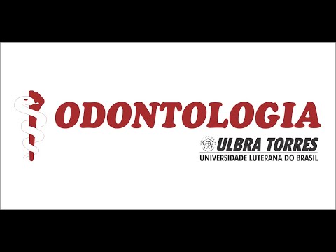 1ª Turma de Formandos Odontologia ULBRA/Torres   2002-01