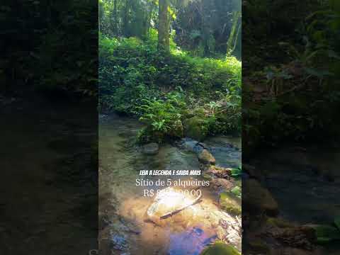 Sítio de 5 alqueires, com muita água, localizado em Piranguçu, Sul de Minas Gerais