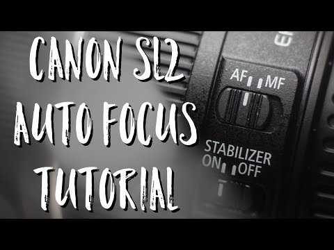 Explained! - Canon Auto Focus Modes - Rebel SL2 200D Tutorial