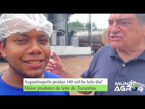 Augustinopolis produz 140 mil/lts leite dia! Maior produtor de leite do TO
