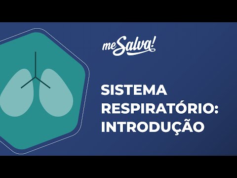 Respiratory System – Introduction - Basic Human Anatomy - Me Salva! Health