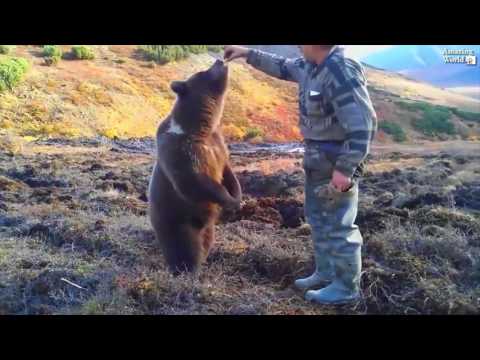 download lagu mp3 mp4 Bears In The Streets, download lagu Bears In The Streets gratis, unduh video klip Bears In The Streets