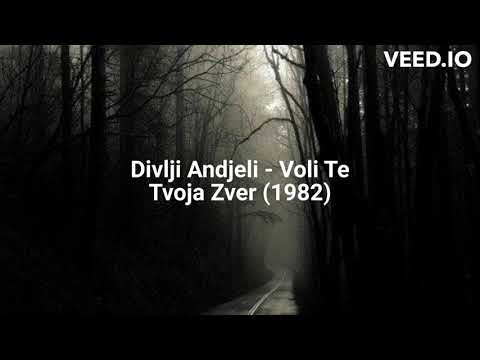 Divlji Andjeli - Voli Te Tvoja Zver (1982)