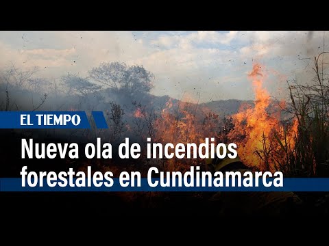Alerta en Cundinamarca en varios municipios por incendios forestales  | El Tiempo