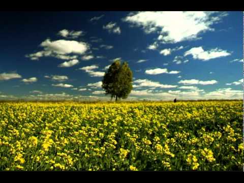 Any Other Name - Thomas Newman - 800% Slower