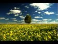 Any Other Name - Thomas Newman - 800% Slower ...