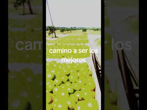 De Villa del Rosario para todo el pais