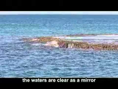 CALM Guided Meditation Video Video