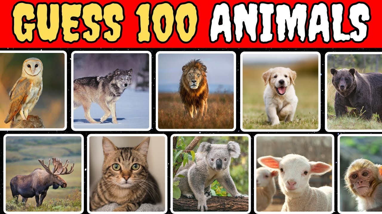 Only 1% Can Guess All 100 Animals in 3 Seconds! Can You?