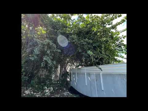 Tree work avant loader