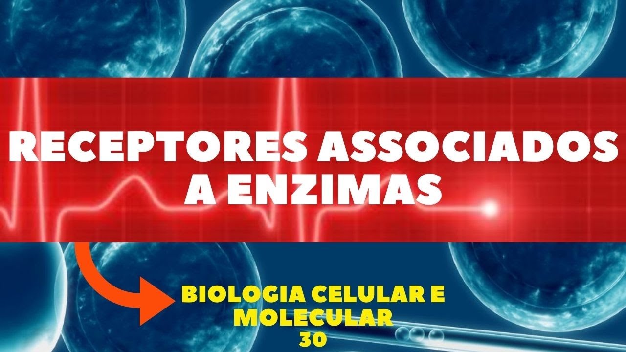 RECEPTORES ASSOCIADOS A ENZIMAS (SINALIZAÇÃO CELULAR) - BIOLOGIA CELULAR E MOLECULAR