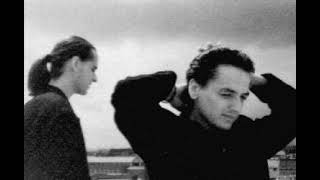 Wolfsheim - The Sparrows and The Nightingales (1991)