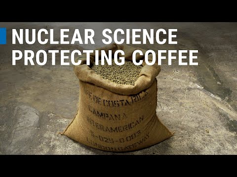 How Nuclear Science Uncovers the Story of Coffee