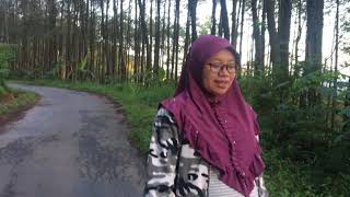 Download lagu RUTINITAS BUMIL 9 BULAN // JALAN JALAN PAGI mp3