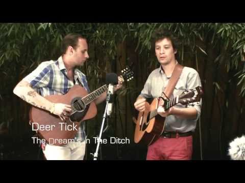 The Dreams In The Ditch video
