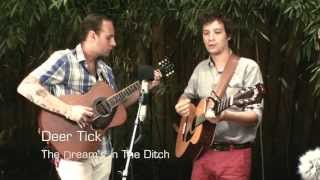 Deer Tick - The Dreams In The Ditch || Baeble Music
