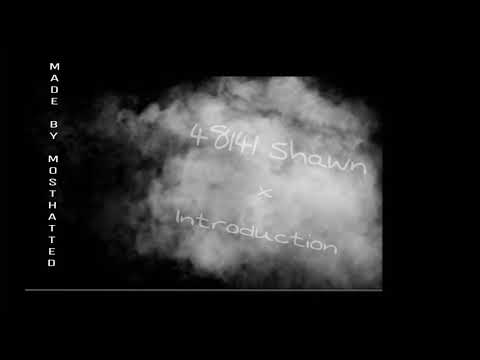 48141 Shawn - Introduction (MadeByMh)